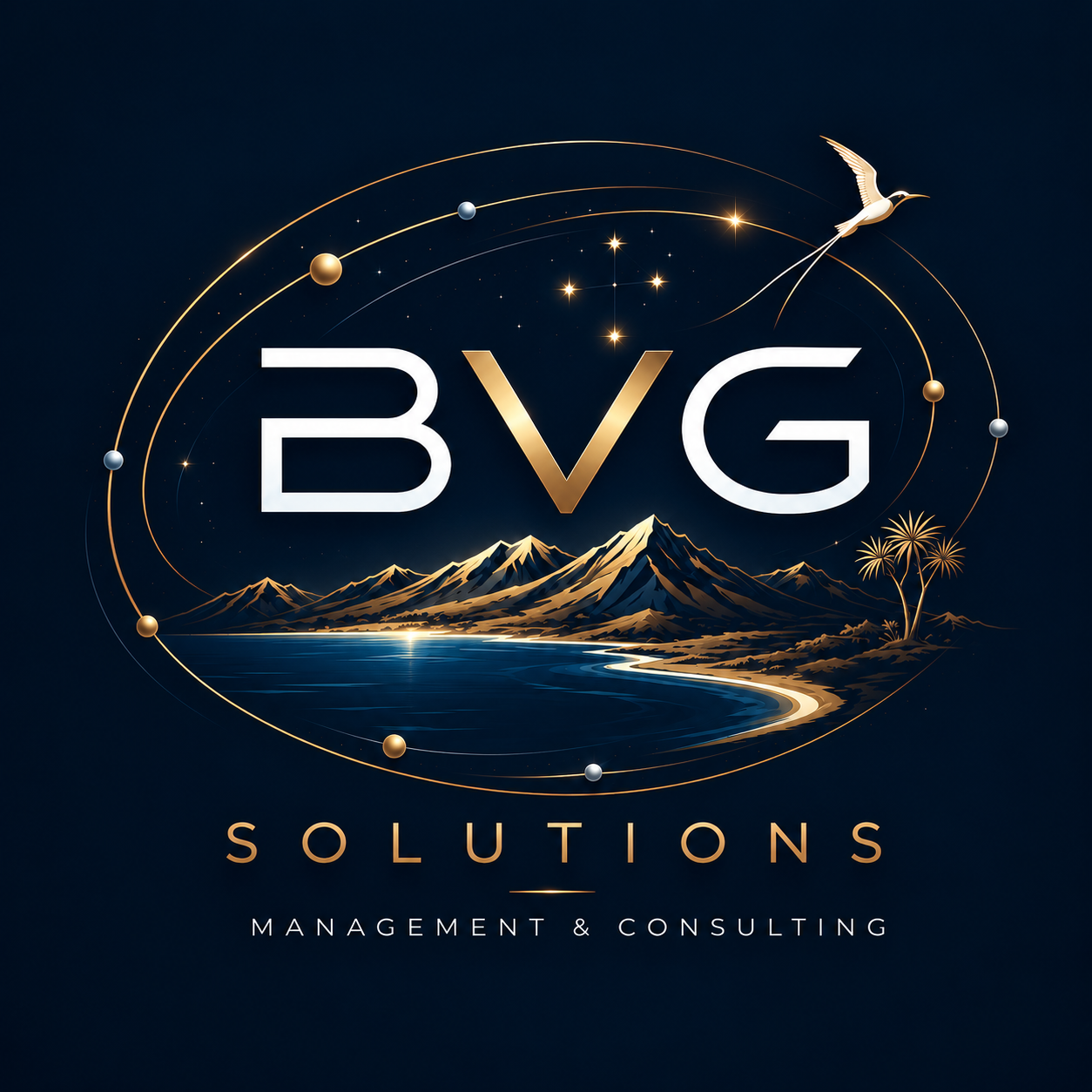 BVG Solutions